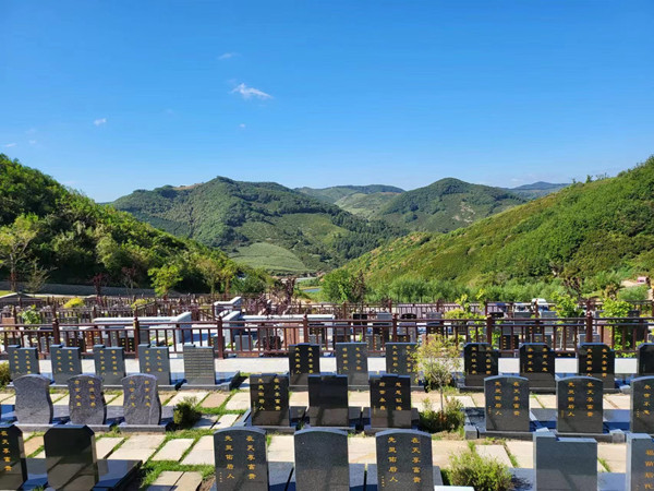 ���ÿ���