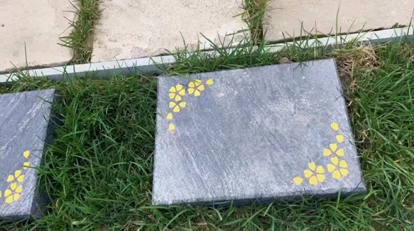 ��ƺ���Ա�