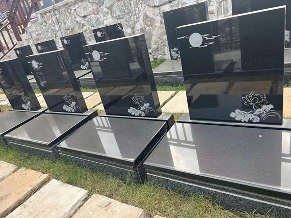 ������ɫA������