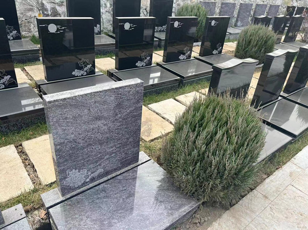 ������ɫB������