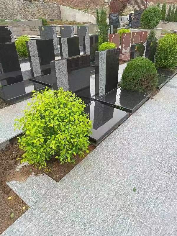 ��ɫʯ�̵񻨱�