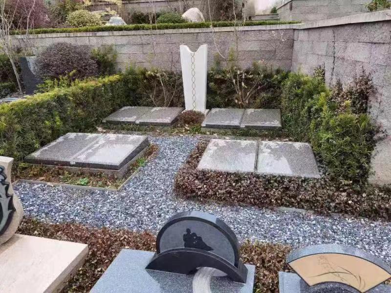 ���Ƽ���Ĺ1